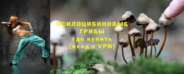 прущий лед Алзамай