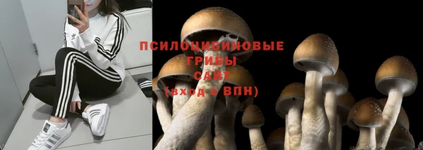 гашиш Алексин