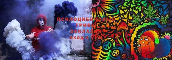 прущий лед Алзамай
