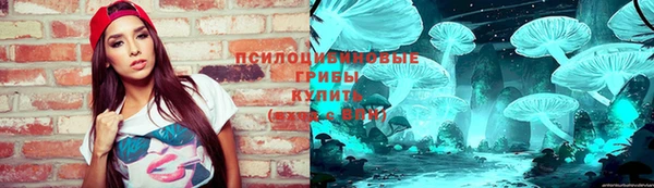 прущий лед Алзамай