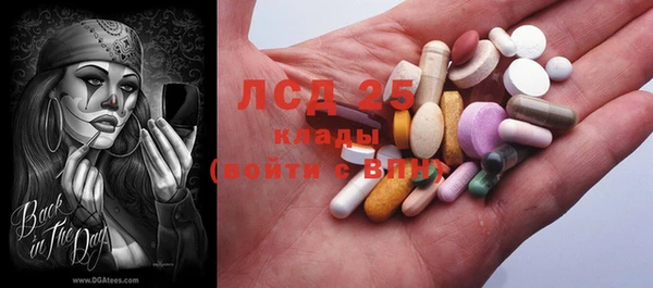 прущий лед Алзамай