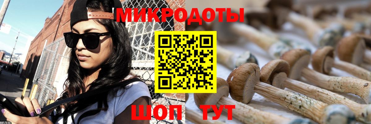 Псилоцибиновые грибы мухоморы Сибай