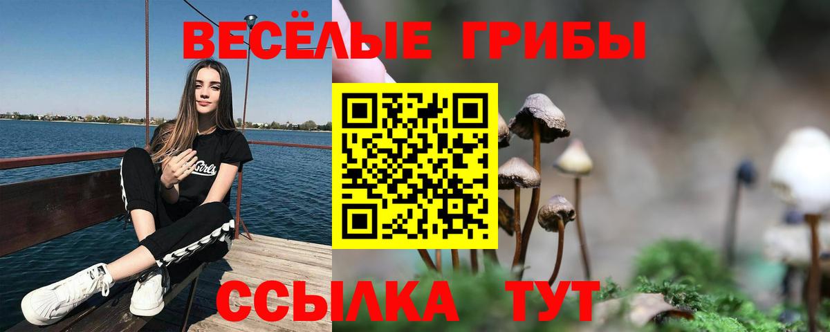 Псилоцибиновые грибы Psilocybine cubensis  Вход с VPN  Псилоцибиновые грибы Magic Shrooms  Сибай 