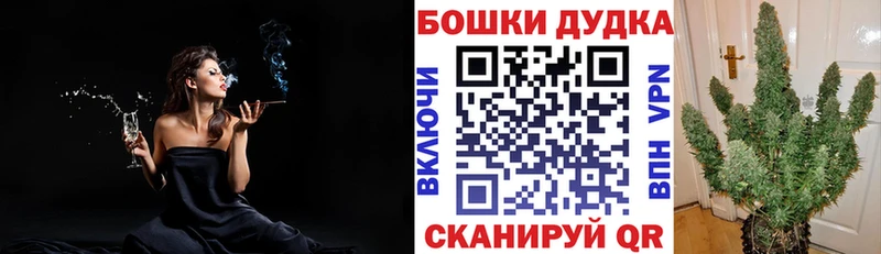 Бошки марихуана план Сибай
