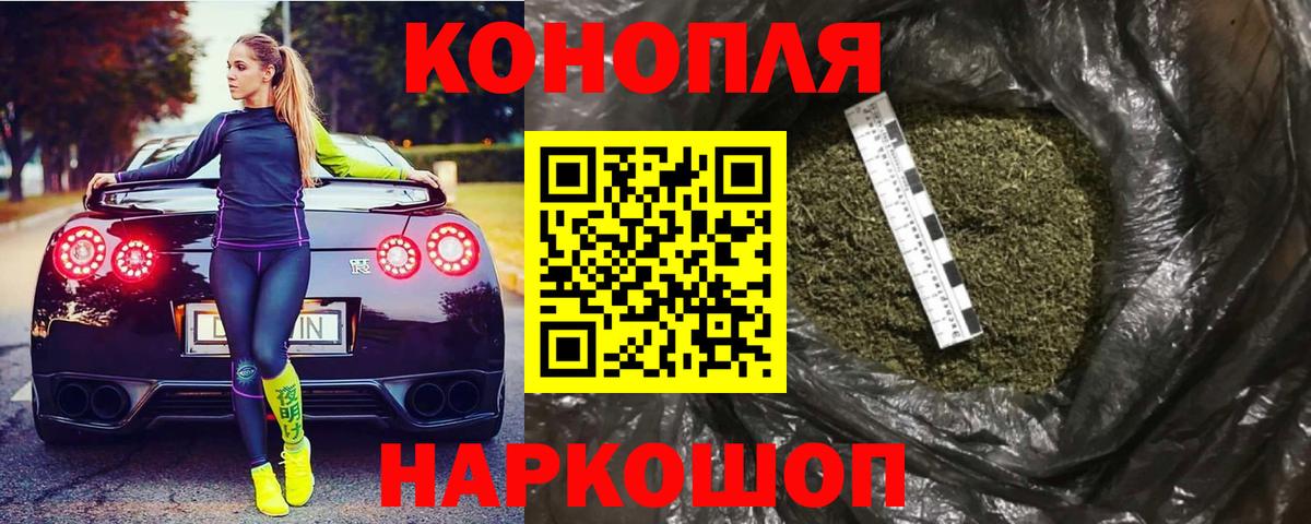 Бошки Шишки планчик Сибай